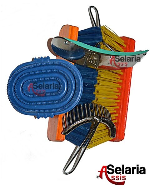 Kit de Beleza Equina - 5 Itens