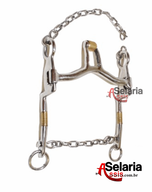 BRIDA PERNA DE RÃ COM SALIVADOR
