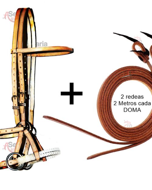 Cabeçada Sid Pull + Rédeas Profissional - DOMA - Cavalo